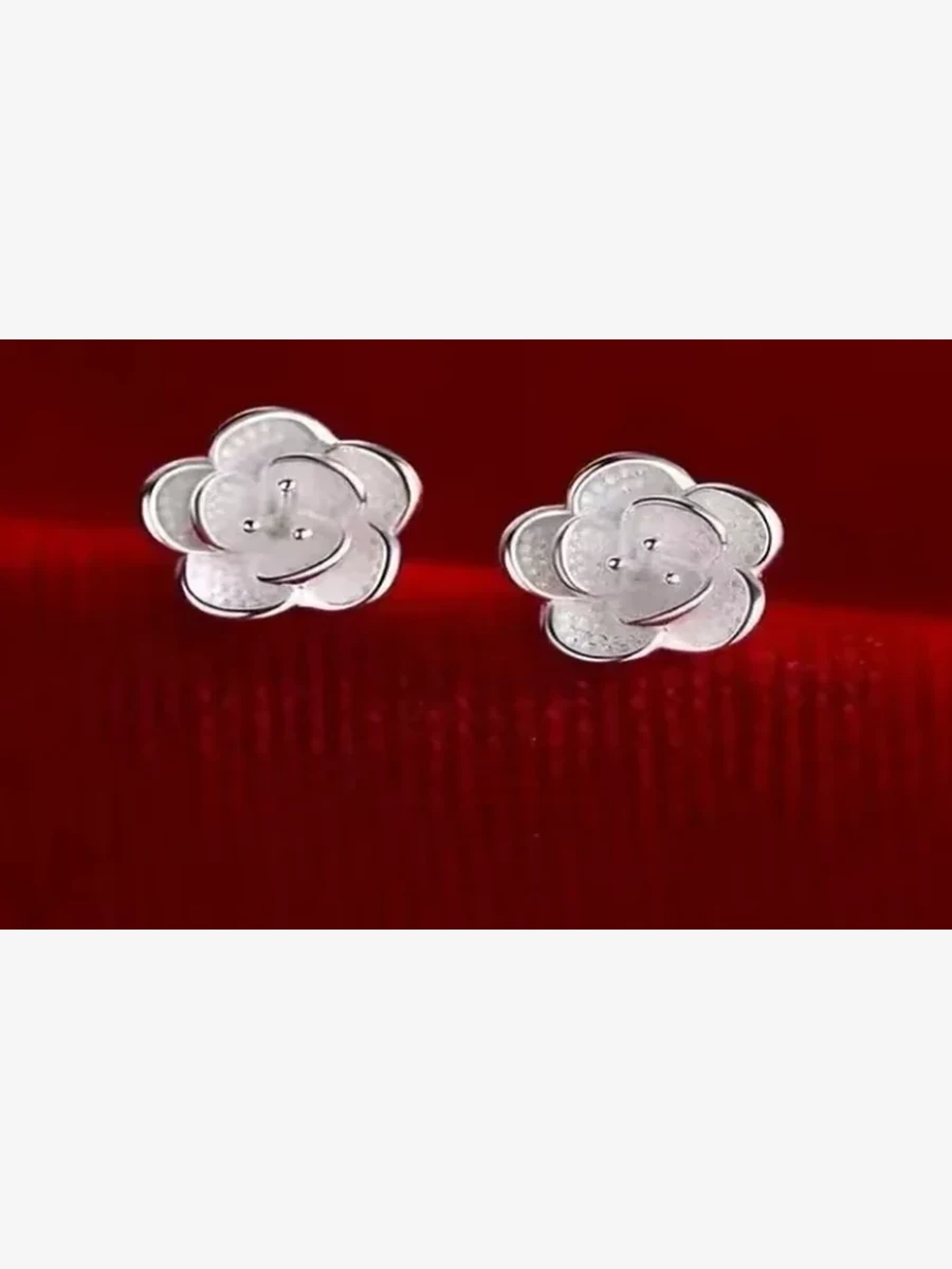 Wholesale Earrings B308