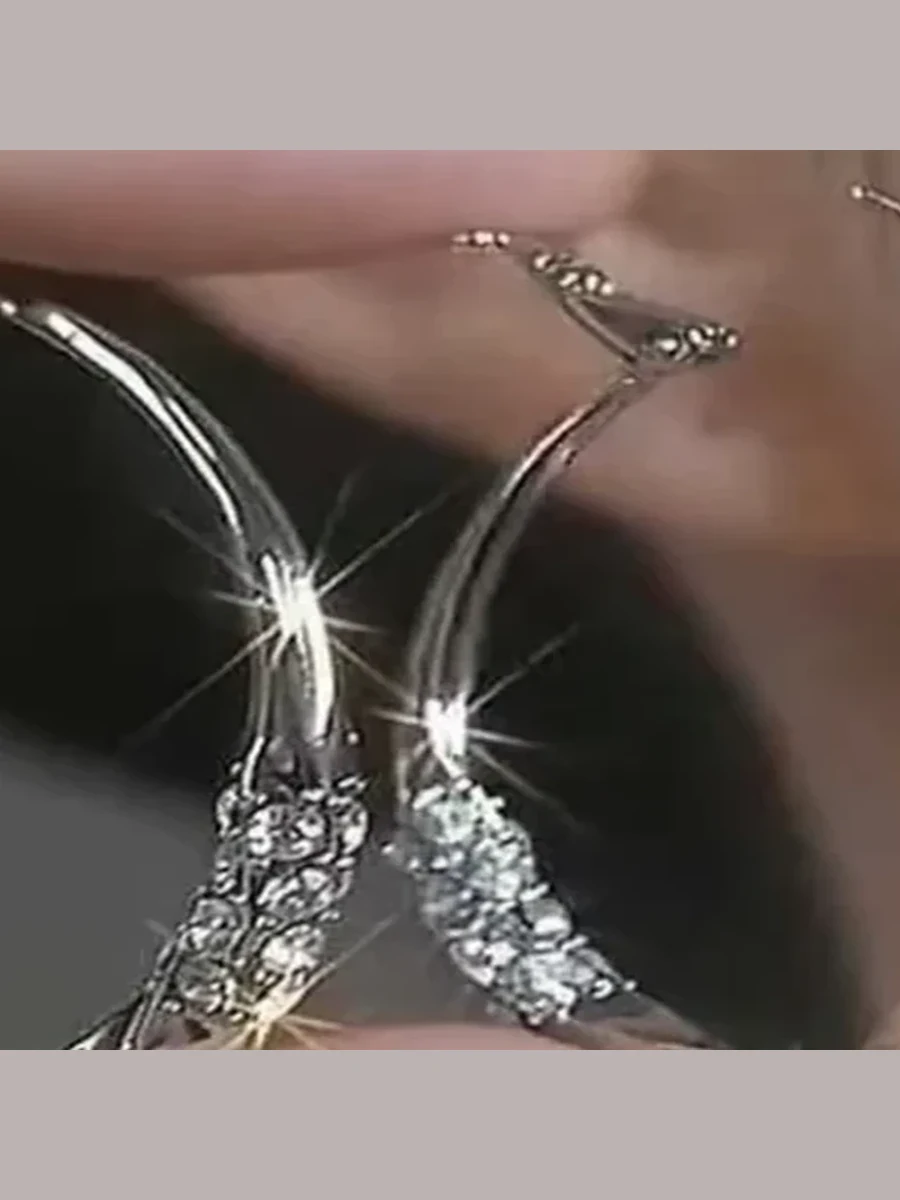 Silver Hoop Crystal Earrings